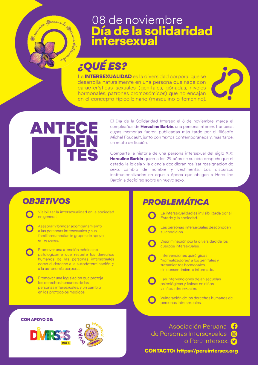 Infografía – Día de la Solidaridad&nbsp;Intersexual