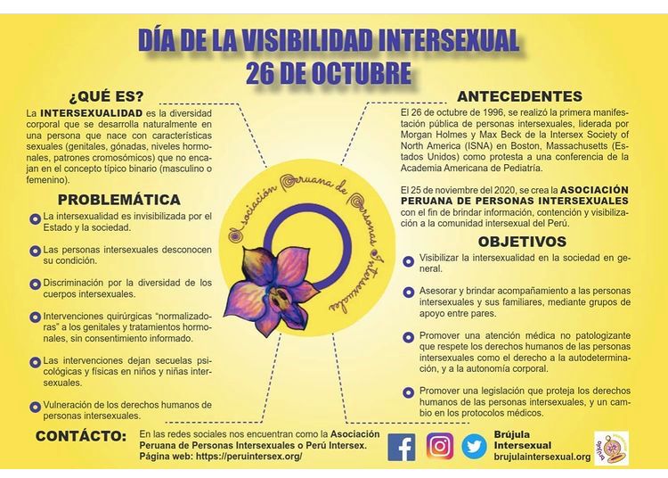 Infografía – Día de la Visibilidad Intersexual