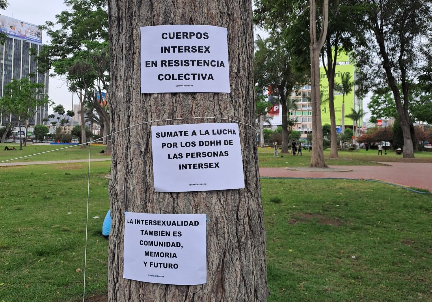 Encuentros comunitarios intersex 💛💜